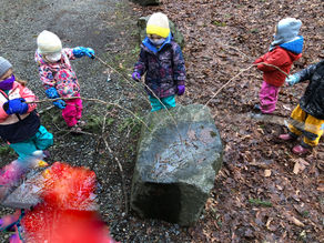 Cedar Rain Circle