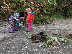 Building a Fairy Forest River