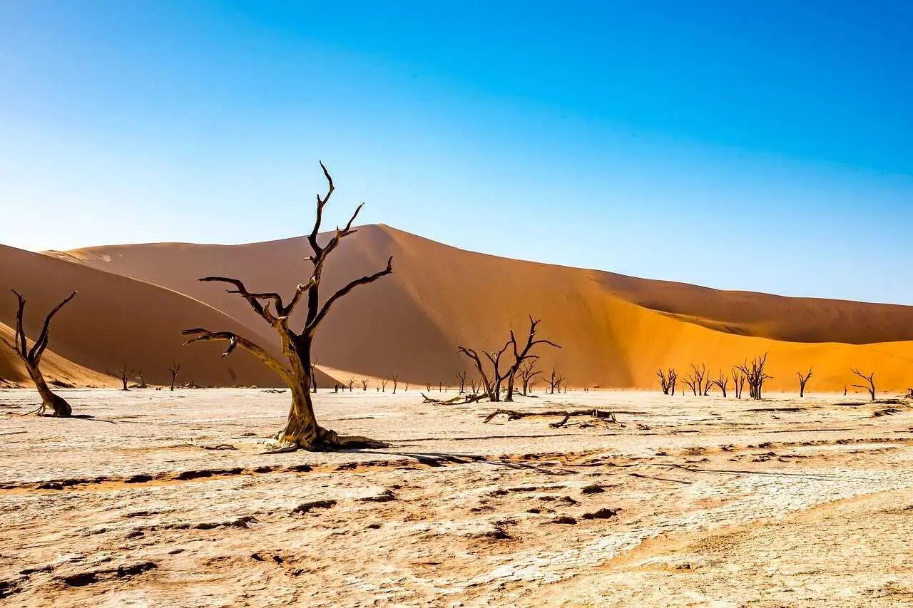 namibia-4790487_1280_optimized.webp