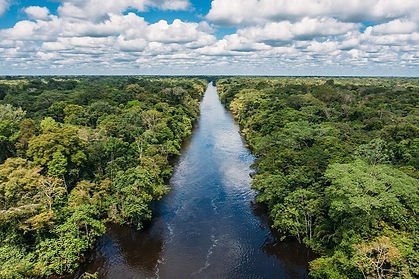 amazon-landscape.jpeg