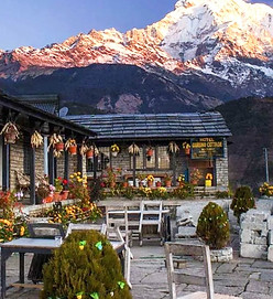 tea house_edited.jpg