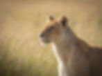 KENIA
