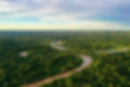 AMAZONAS