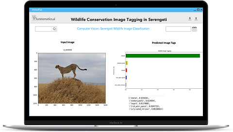 Wildlife Conservation Image Tagging