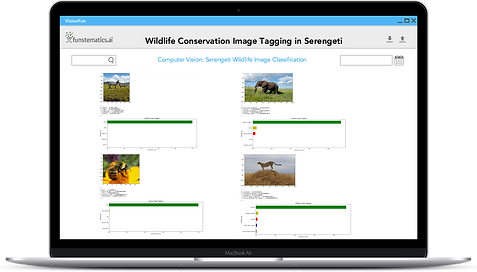 Wildlife Conservation Image Tagging in Serengeti