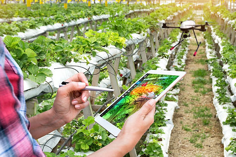 Agriculture