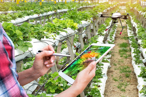 Agriculture