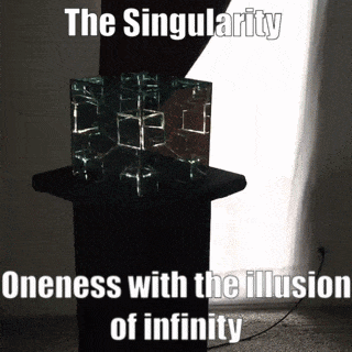 Understanding what a Singularity is