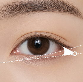 avaé | Premium Korea Medical Tourism Concierge | Australia