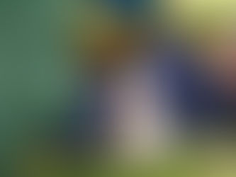 Felix Tshisekedi a pris part à l'ouverture du 78e session de l'Assemblée générale des nations unies