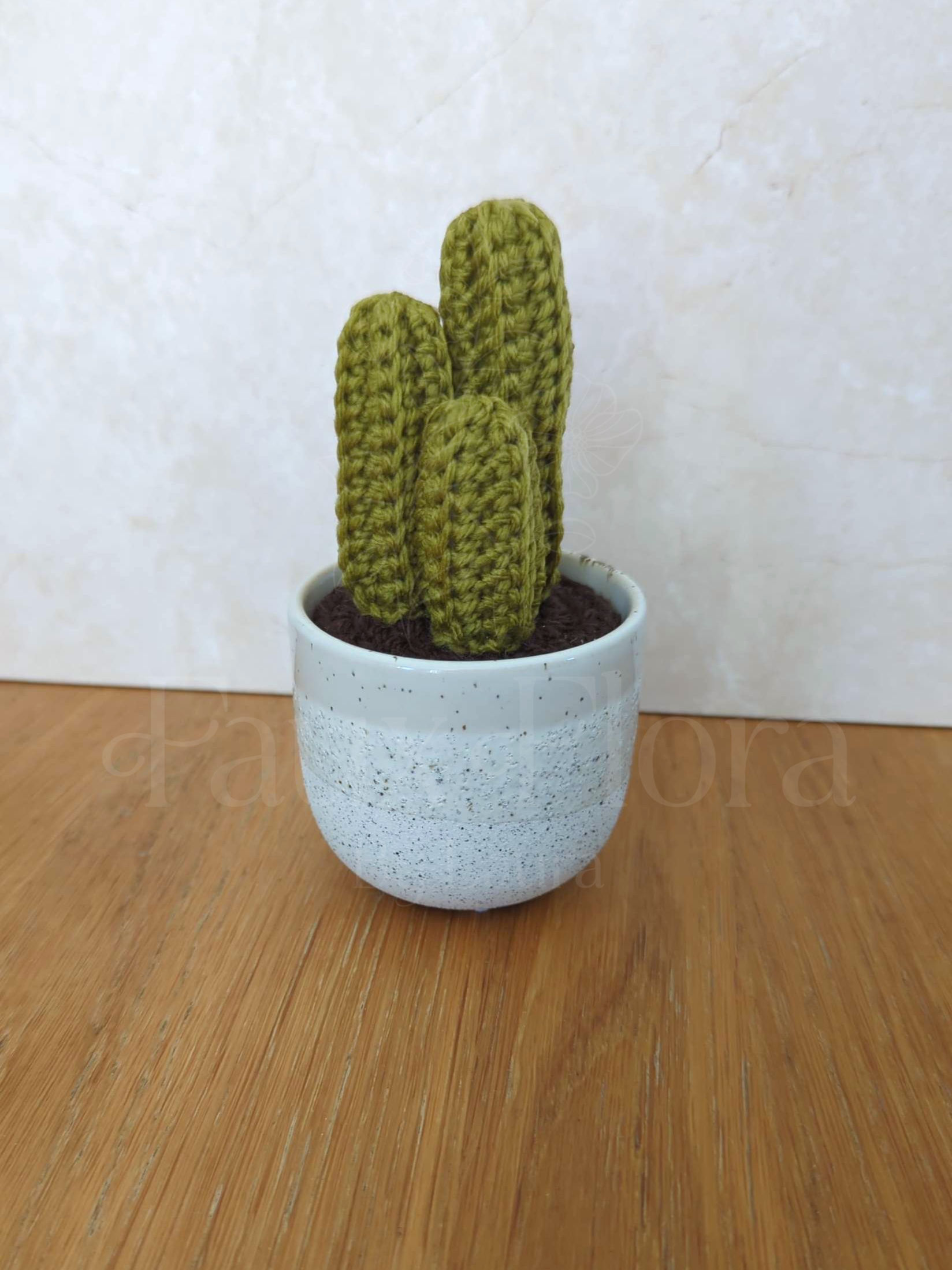 Cactus Trio