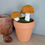 Thumbnail: Mini Mushroom Pots