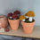 Thumbnail: Mini Mushroom Pots