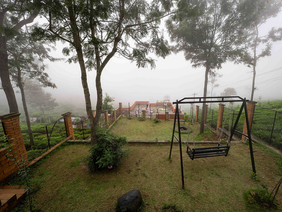 P1015283.jpg
