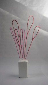 Cerise