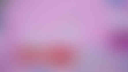 Nathalis Atelier_crop2.jpg