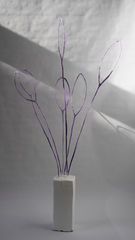 Thistle