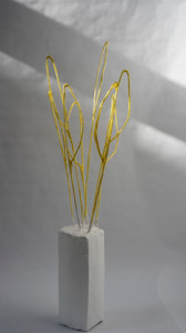 Maize