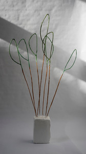 Fern/Chamoisee