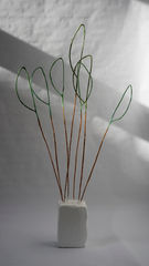 Fern/Chamoisee