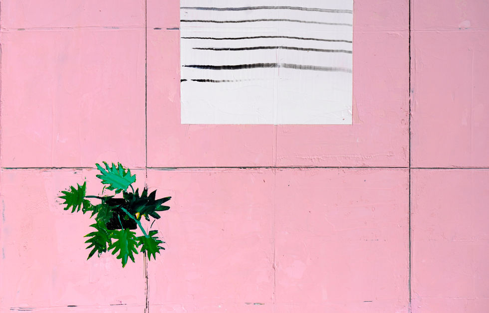 _PinkPool2