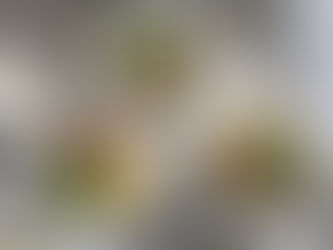 タンパク質が取れるトッピング付きそうめん