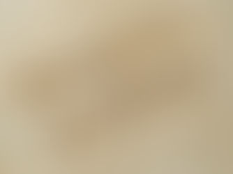 INTRODUCING OUR NEW Q&A SERIES