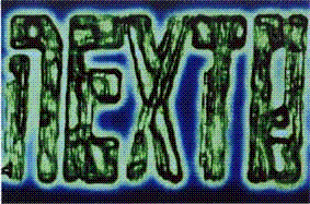 NEXTO LOGO.GIF