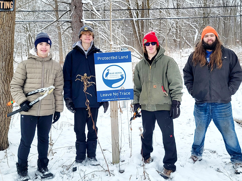 Stewardship Morning at Kimball Preserve: 