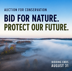 Auction_AD_2026.png