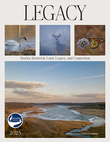 FINAL - End of year - 2025 Nature Magazine.png