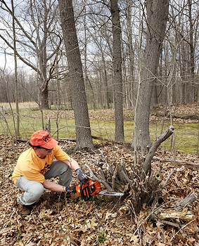 Dave Beglau _ Sashabaw Creek.jpg