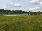Fen _ Davis Lake Overlook.jpg
