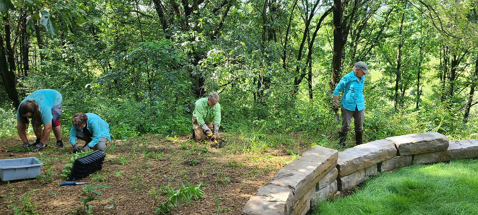 Jim plants natives at the Butterfly Preserve (2).jpg