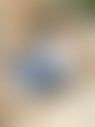 The White Blouse Edit