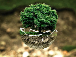 Environmental Sustainability