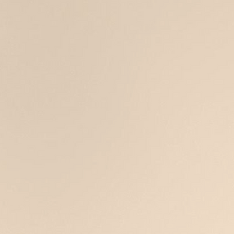 WHY LIE NON-DETAILED.png