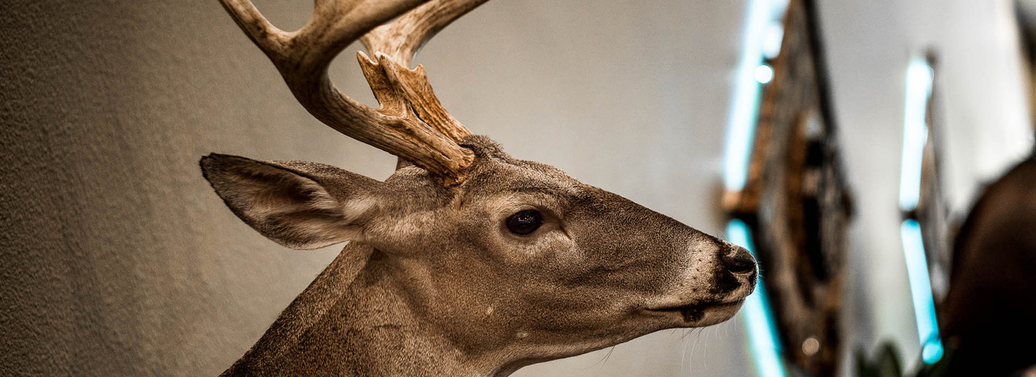 Texas Gun Ranch | The Private Shooting Experience | Gun Range in ...