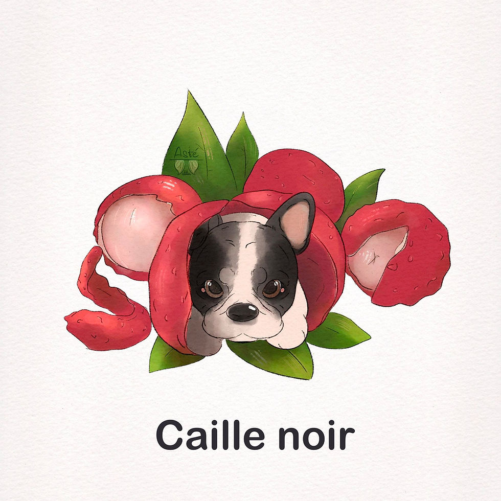 Miniature : Print "Boulitchi"