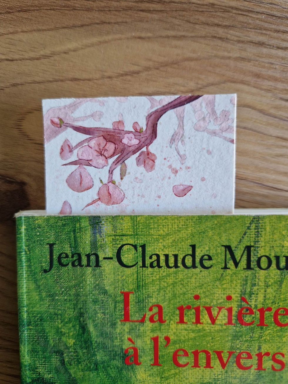 Miniature : Marque-page - Collection Loutre