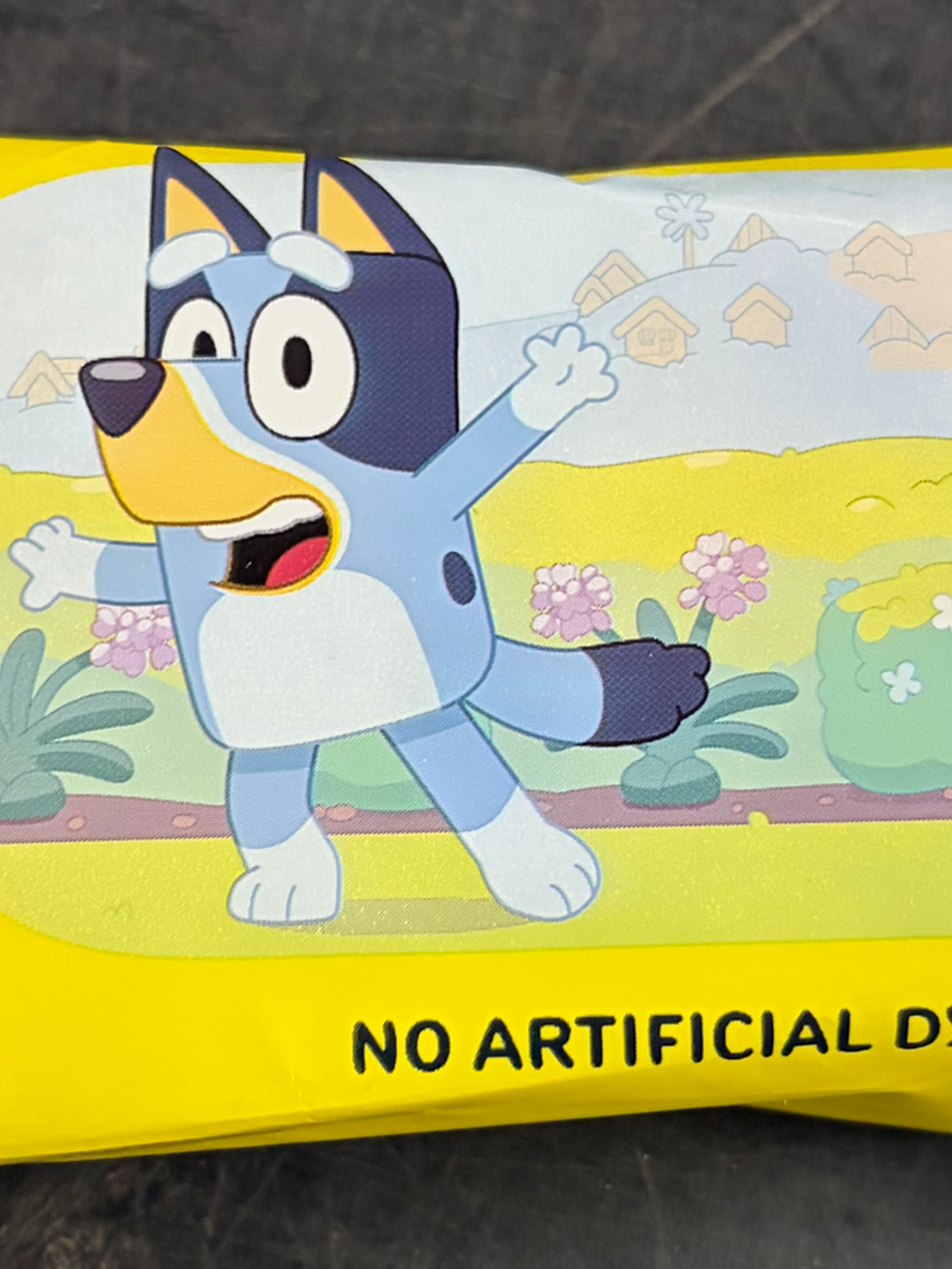 Bluey Ice Cream Bar 20ct