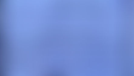 🌟 A Universe of Success! 🌟