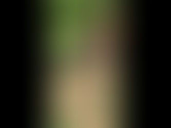 ✨ Play After Exams! ✨