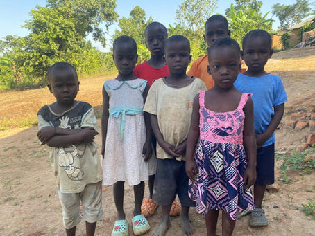 New Orphans!!!