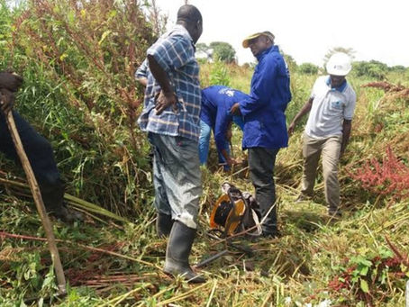 Making Way for the Survey!!!