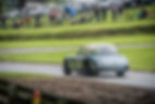 Austin Healey 106