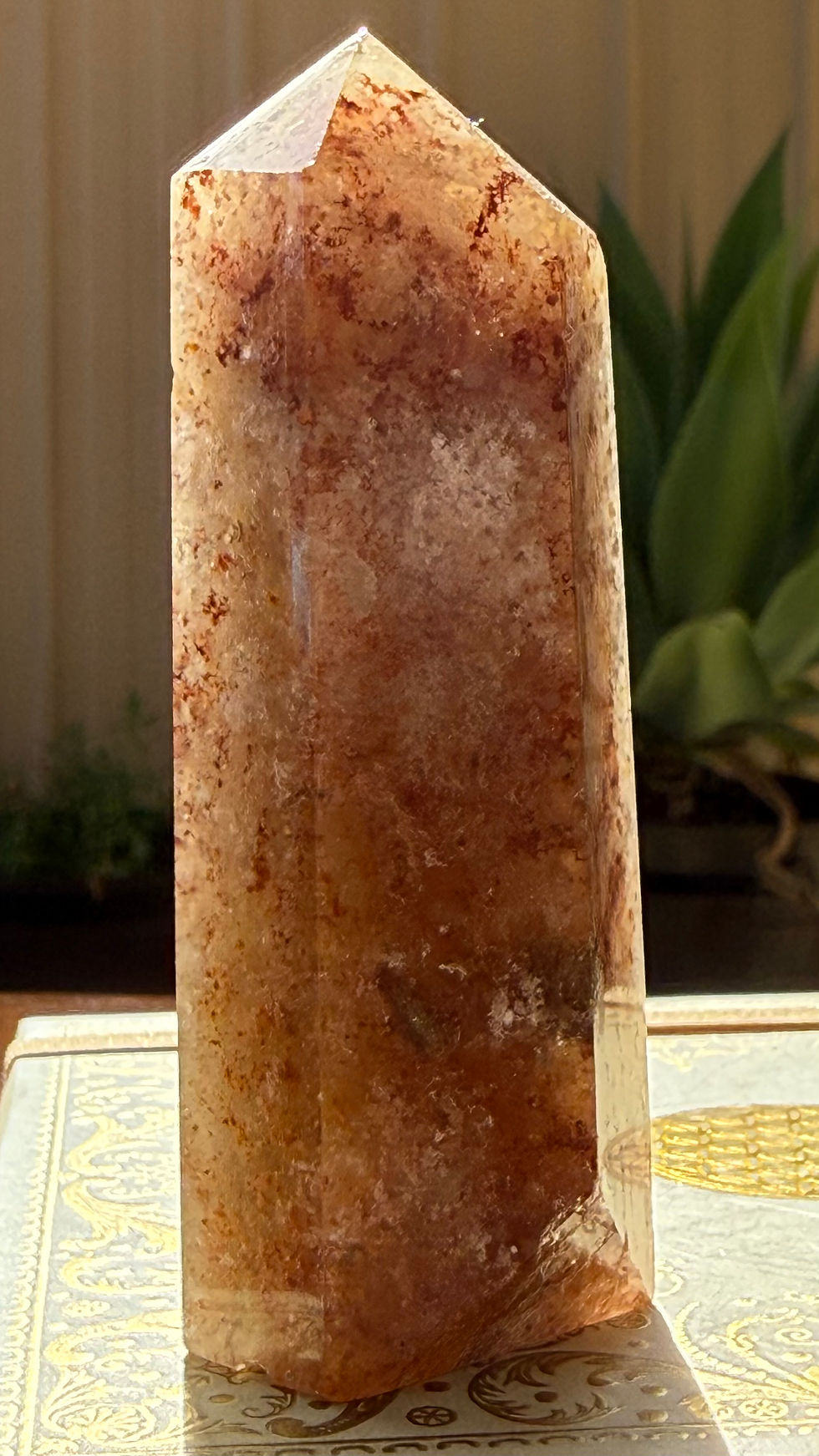 Thumbnail: Garden Quartz (Lodolite)