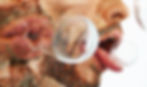 THE PROCESS (detail)