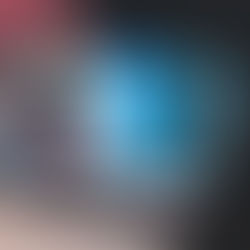 Project Manager - Risk Management 