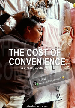 The Cost of Convenience